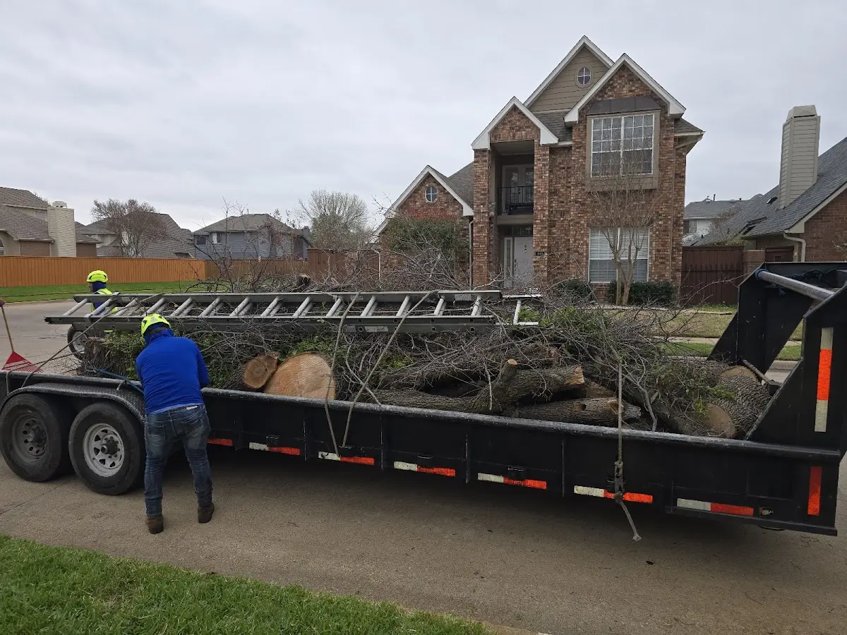 Expert Lot Clearing with proper safety equipment in Preston Park